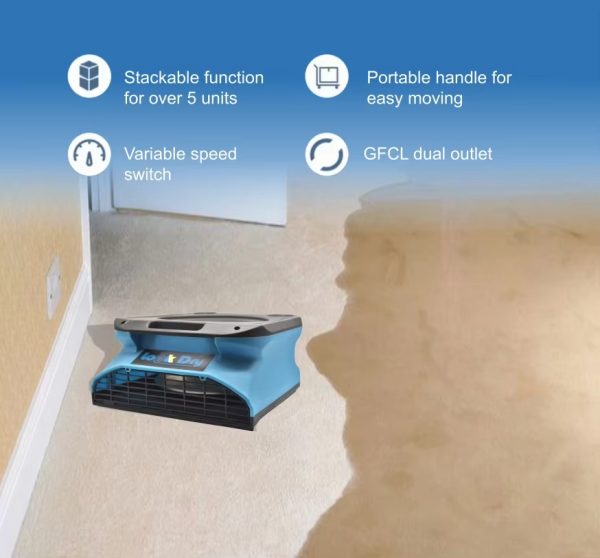 Compact flat Air Mover for Hotel Carpet Water Damage - Image 2